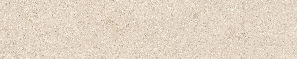 Matte Finish STONELLA 10 Porcelain 200x1000mm