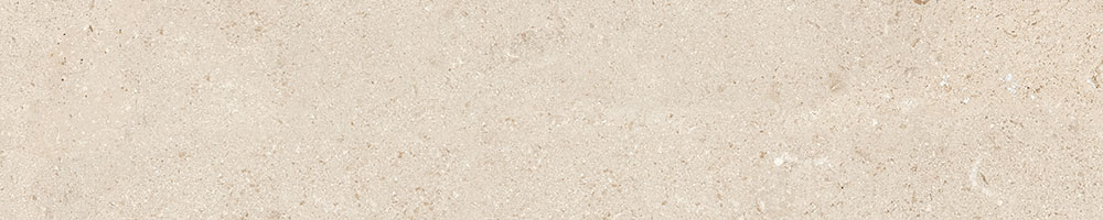 Matte Finish STONELLA 10 Porcelain 200x1000mm