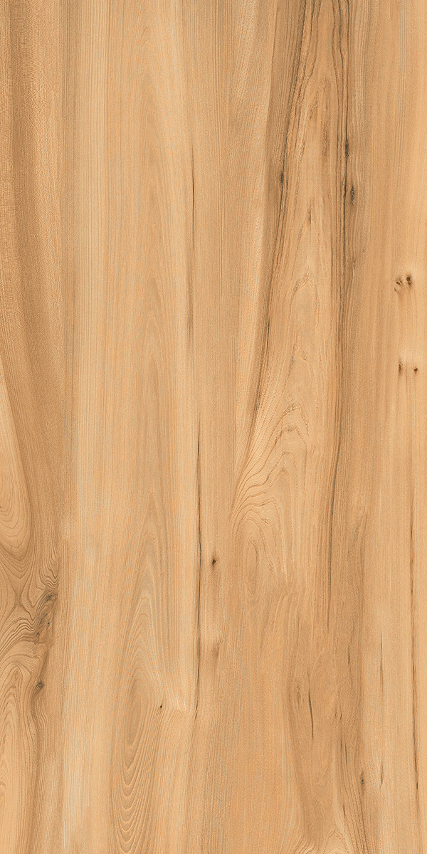 Matte Finish BARK BROWN GVT 600x1200mm