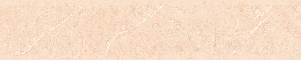 Matte Finish ORION 05 LT  Porcelain 200x1000mm
