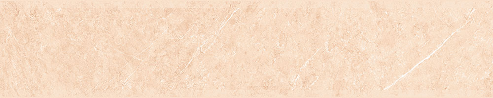 Matte Finish ORION 05 LT  Porcelain 200x1000mm
