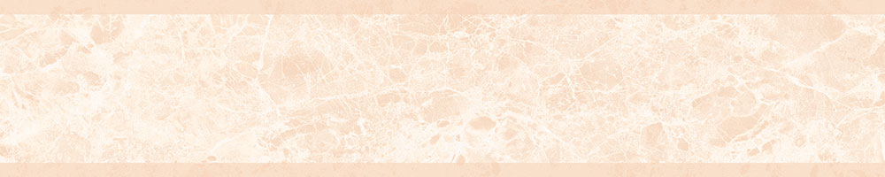 Matte Finish ORION 10 LT Porcelain 200x1000mm