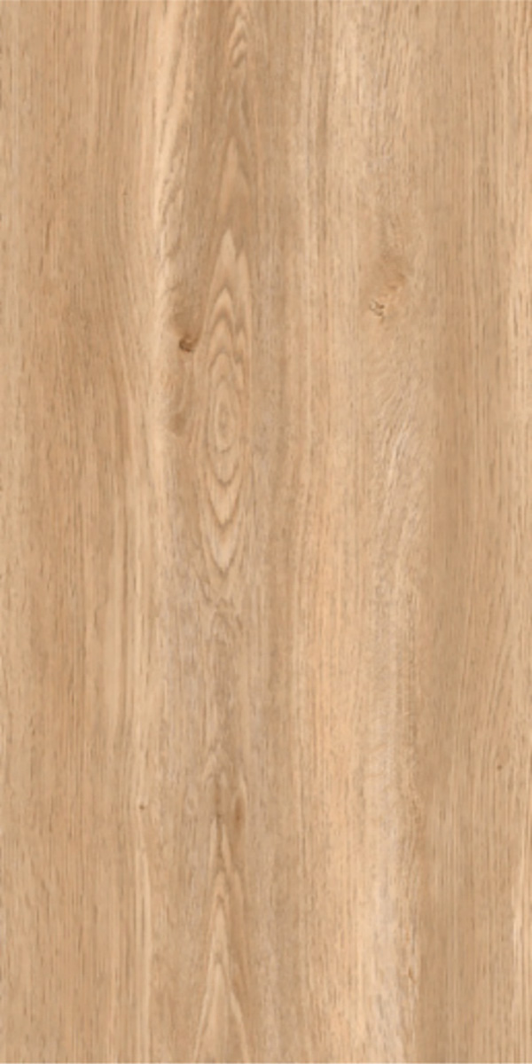 Matte Finish 60120MT AFRICAN WOOD GVT 600x1200mm