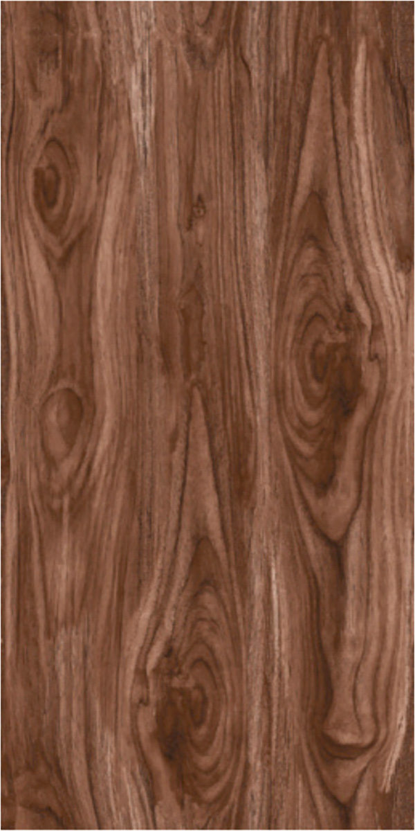 Matte Finish 60120MT CELTIS CHOCO GVT 600x1200mm