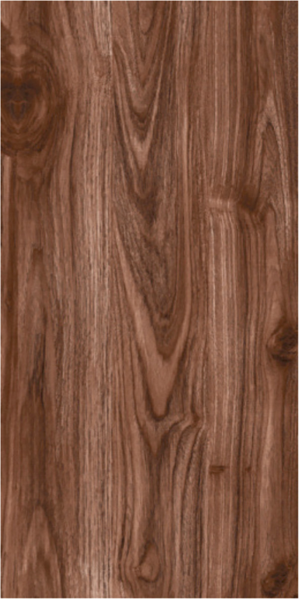 Matte Finish 60120MT CELTIS CHOCO GVT 600x1200mm