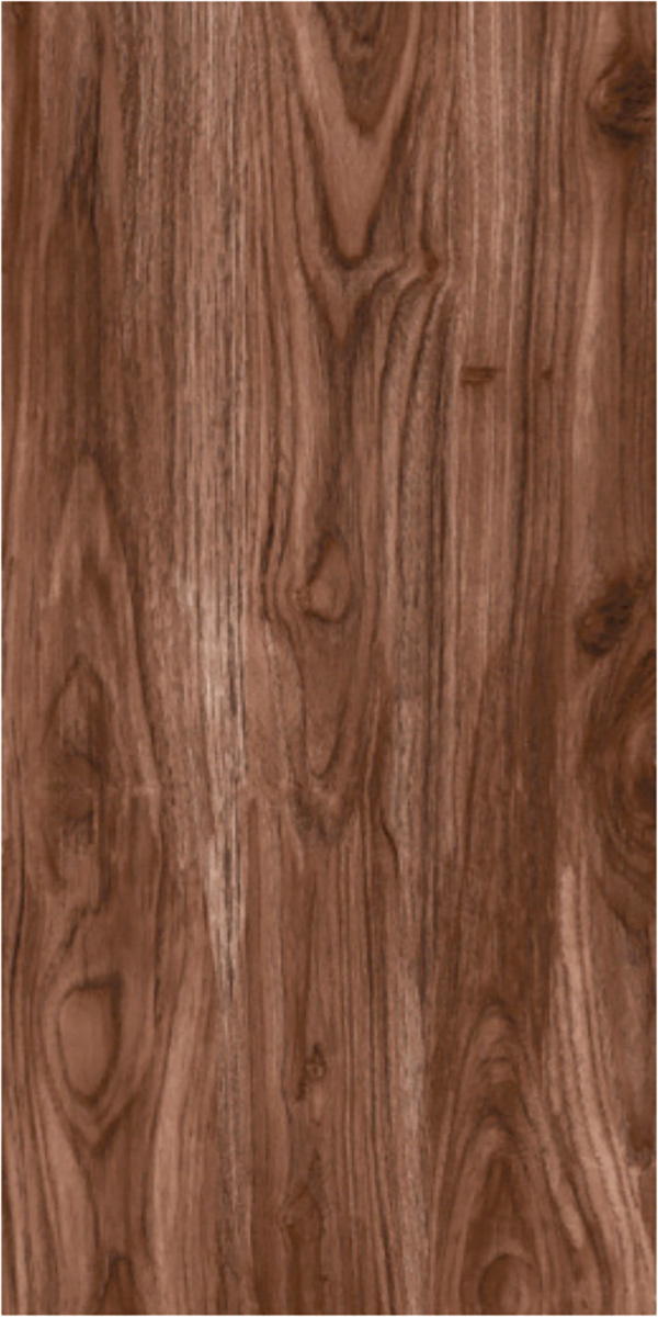 Matte Finish 60120MT CELTIS CHOCO GVT 600x1200mm