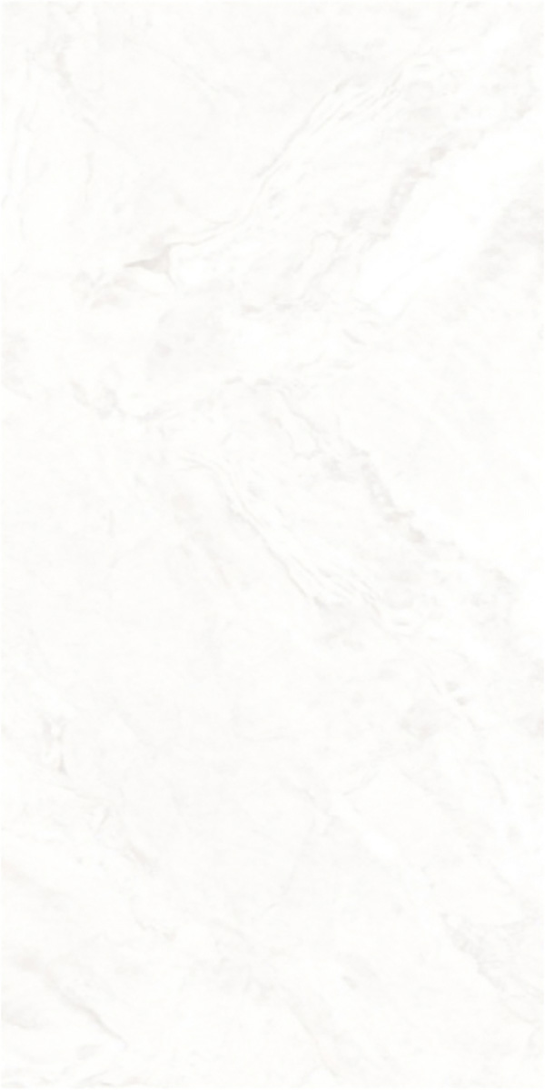 Matte Finish 60120MT OCEANA GVT 600x1200mm