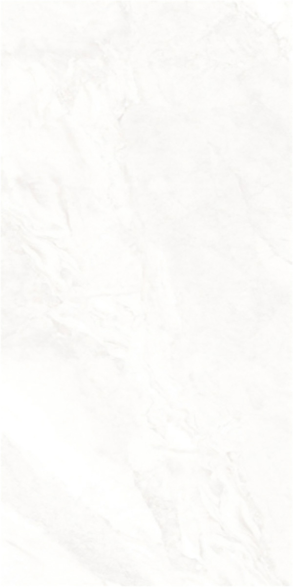 Matte Finish 60120MT OCEANA GVT 600x1200mm