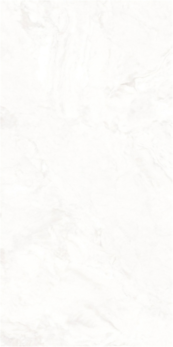 Matte Finish 60120MT OCEANA GVT 600x1200mm