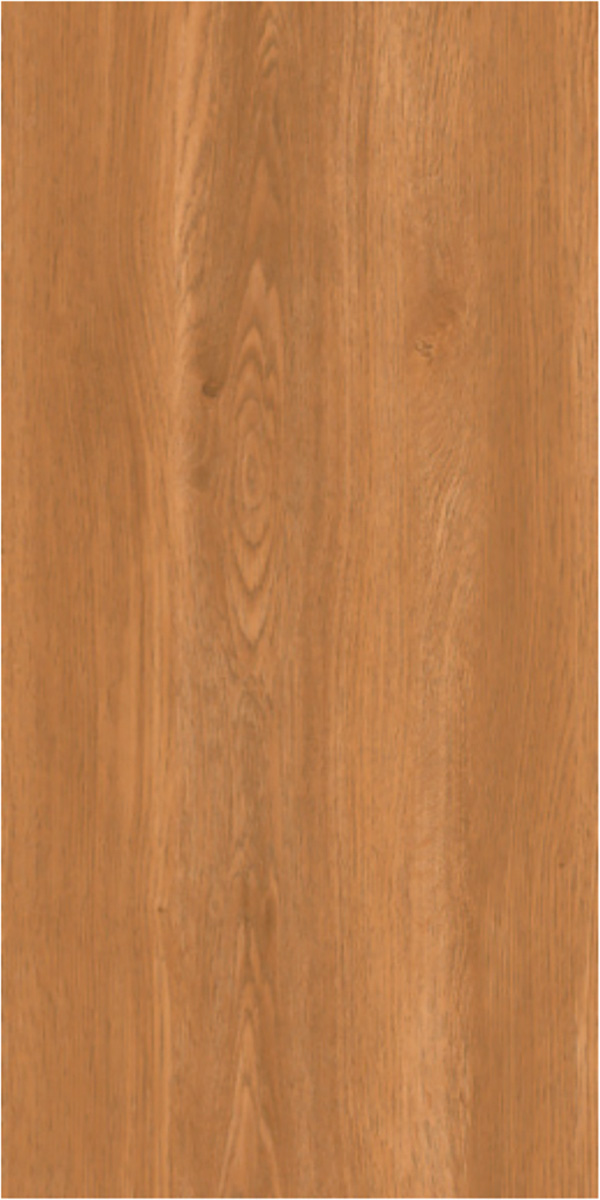 Matte Finish 60120MT ROCK WOOD GVT 600x1200mm