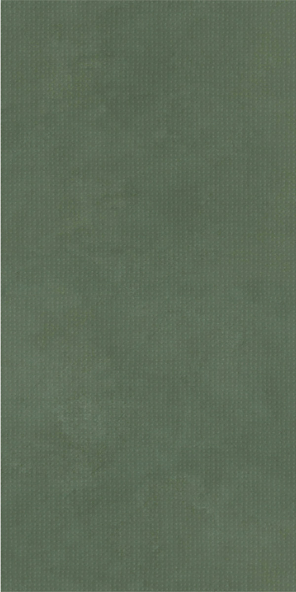 Posh Finish ALPS ERBE GVT 600x1200mm