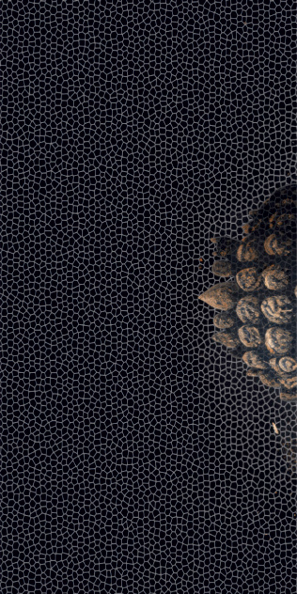 Glitter Finish KRIPIK BUDDHA GVT 600x1200mm