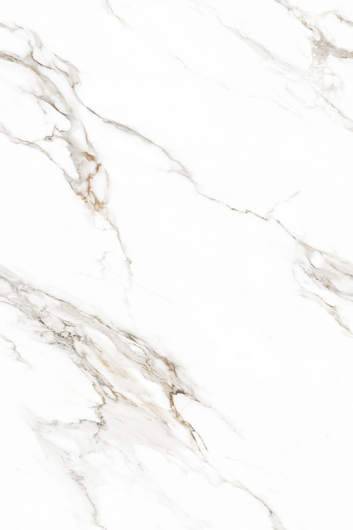 Glossy Finish TREVISO WHITE PGVT 1200x1800mm