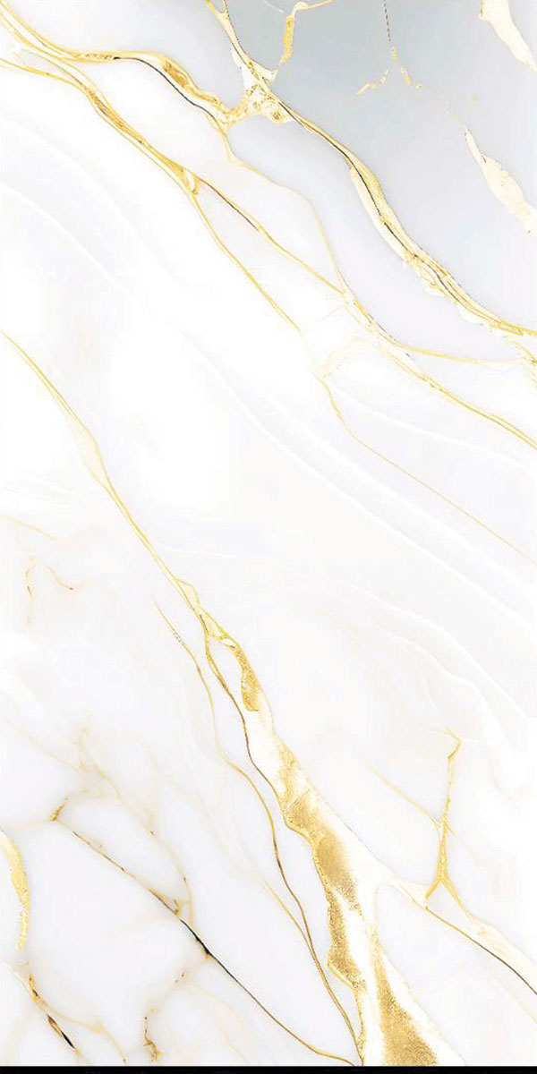 Glossy Finish BRUMOSO WHITE PGVT 600x1200mm