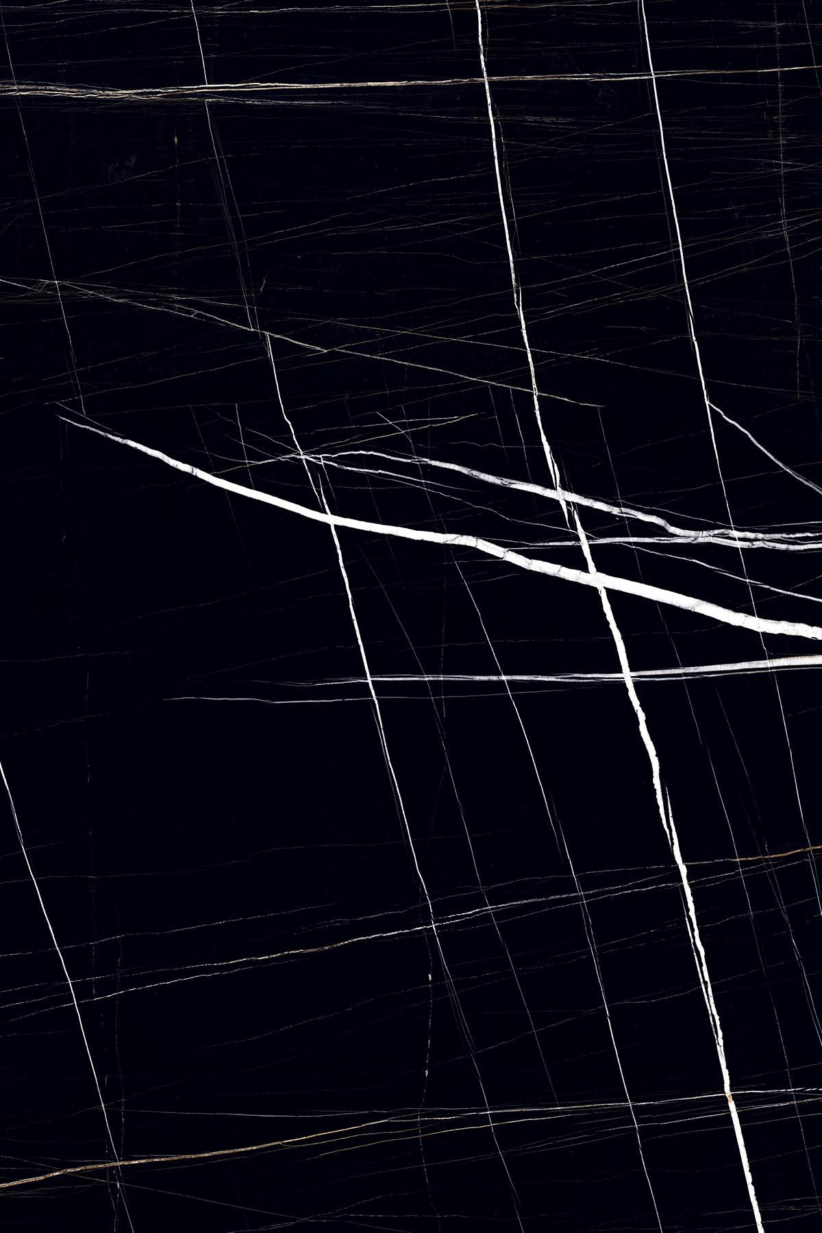 High Glossy Finish Nero Markinia PGVT 1200x1800mm